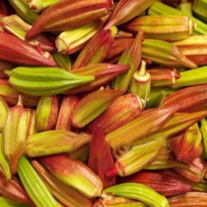 Rare Red and Green Okra Seeds