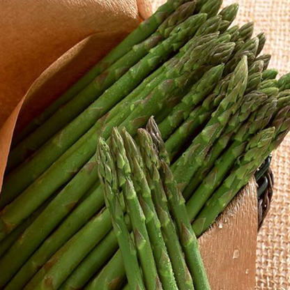 Washington Asparagus Seeds