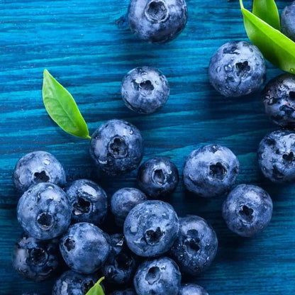 Blueberry Highbush Seeds Heirloom