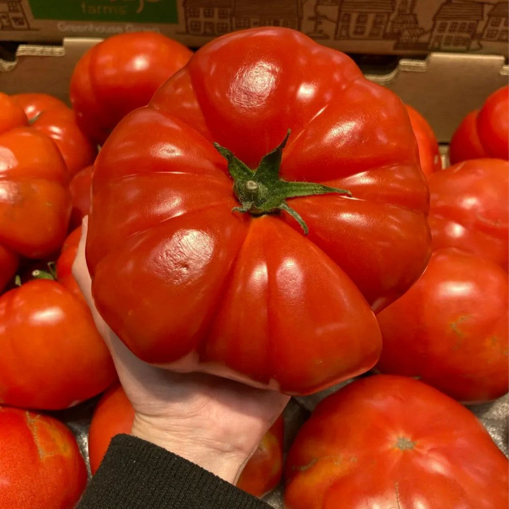 Giant Heirloom Tomato Seeds