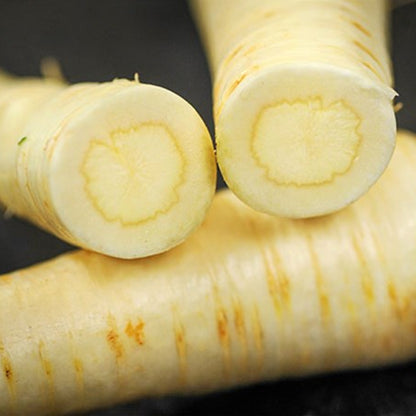 White Gem Parsnip Seeds