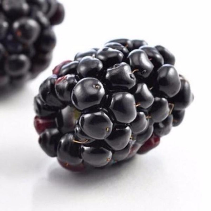 Long Blackberry Juicy Fruit Seeds
