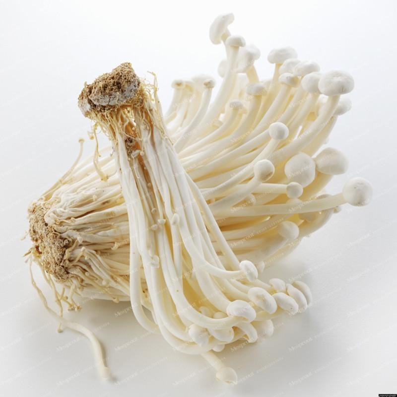 Rare Mini Enoki Mushroom Farm Seeds