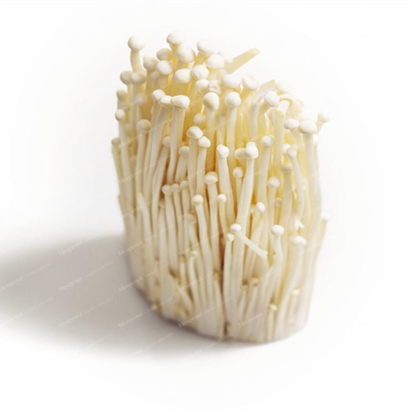 Rare Mini Enoki Mushroom Farm Seeds