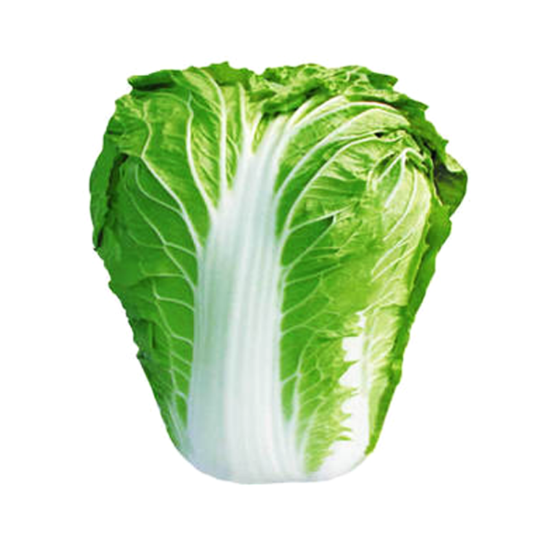 Fresh Cabbage Vegetable Seeds