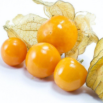 Raw Golden Yellow Bouncy Berry Seeds