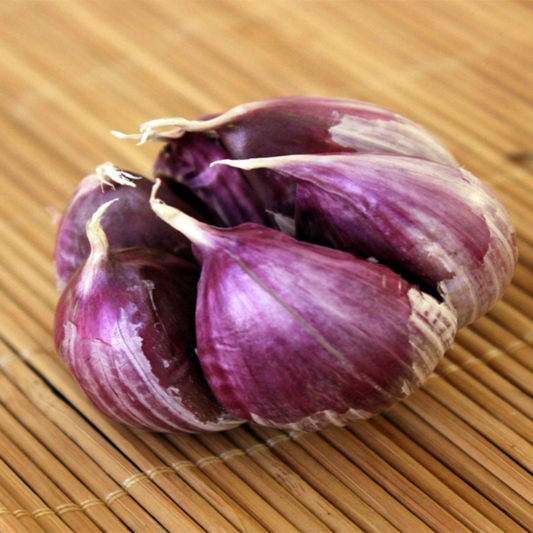 Perennial Multi-Petals Garlic Seeds