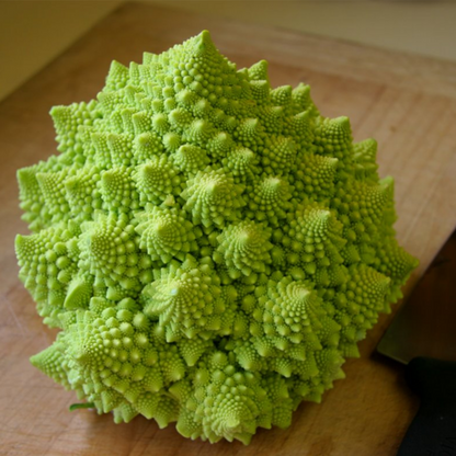 Light Green Snowy Cauliflower Seeds