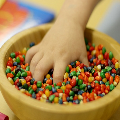 Sweet Rainbow Corn Seeds