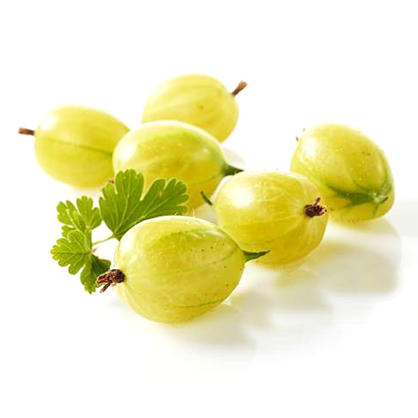 Yellow Pan American Gooseberry Seeds