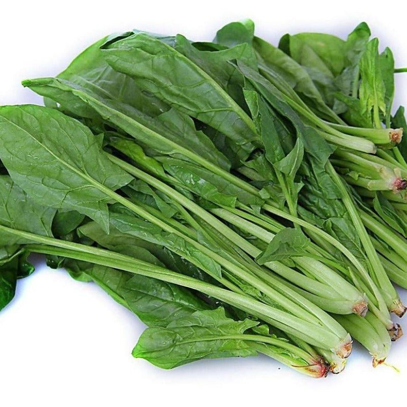 Farm Green Salad Spinach Leave Seeds