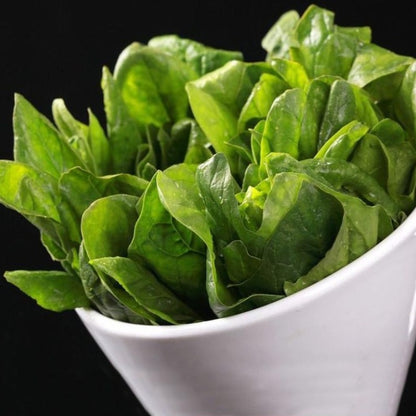 Farm Green Salad Spinach Leave Seeds