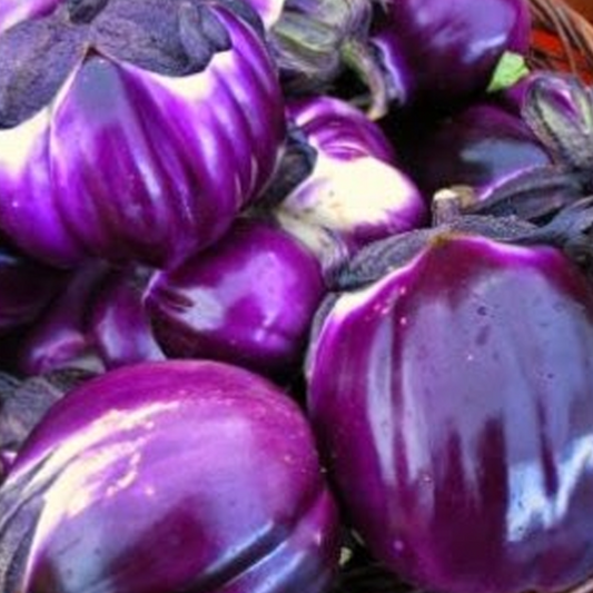 Barbarella Purple Eggplant Vegetable Seeds