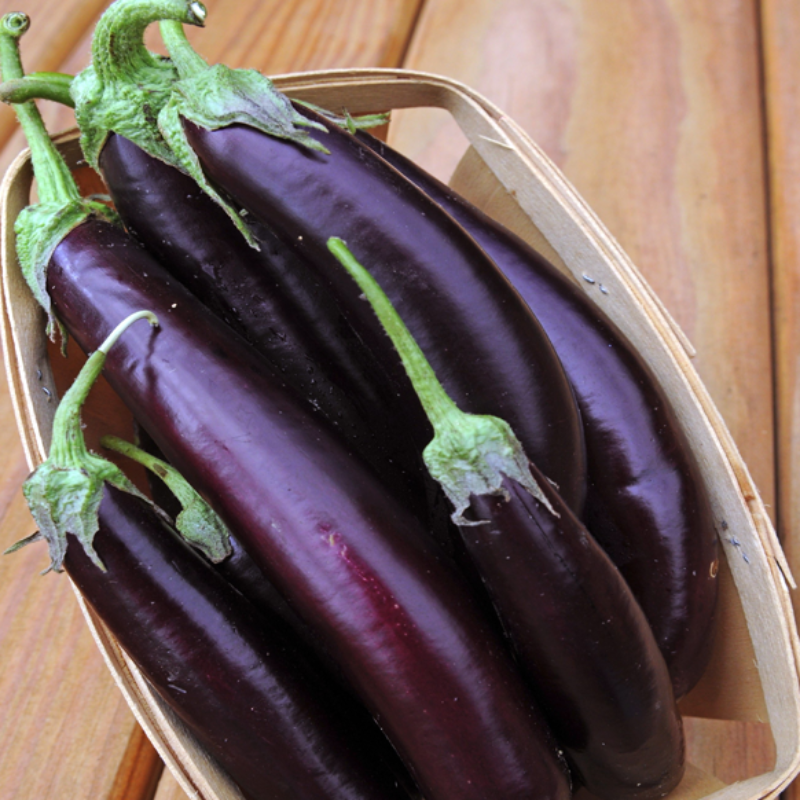 Heirloom Eggplant Seeds