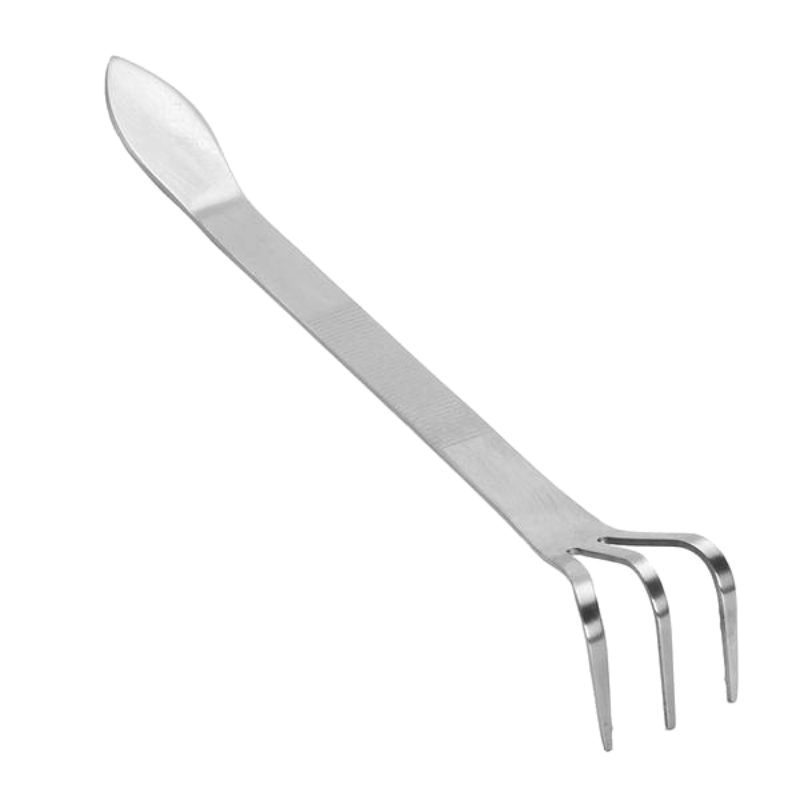 Multi Functional Root Rake And Spatula Stainless Steel Tool