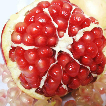 Succulent Reddish Pomegranate Seeds