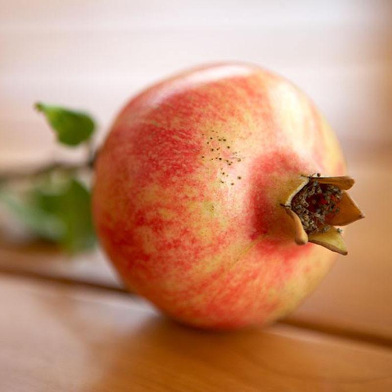 Succulent Reddish Pomegranate Seeds