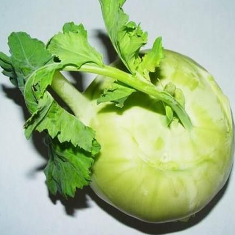 Green Kohlrabi Brassica Vegetable Seeds