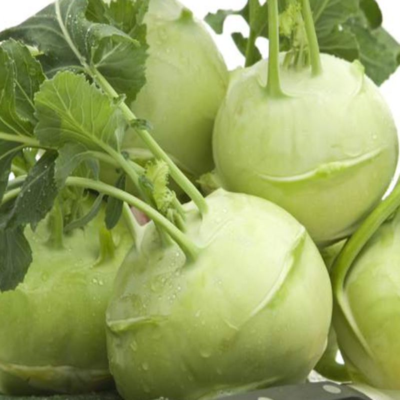 Green Kohlrabi Brassica Vegetable Seeds