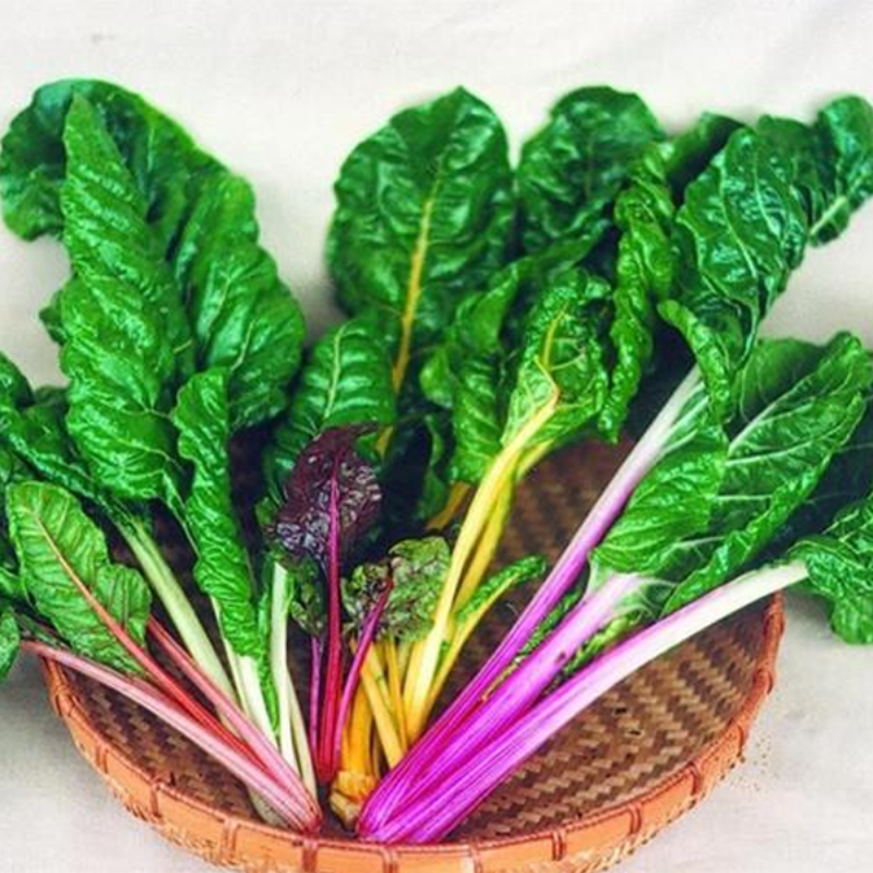 Bright Lights Swiss Chard Seeds