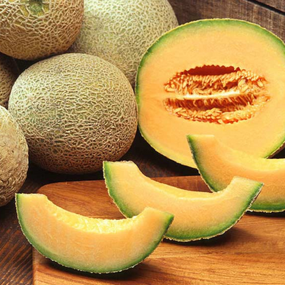 Cantaloupe Melon Fruit Seeds