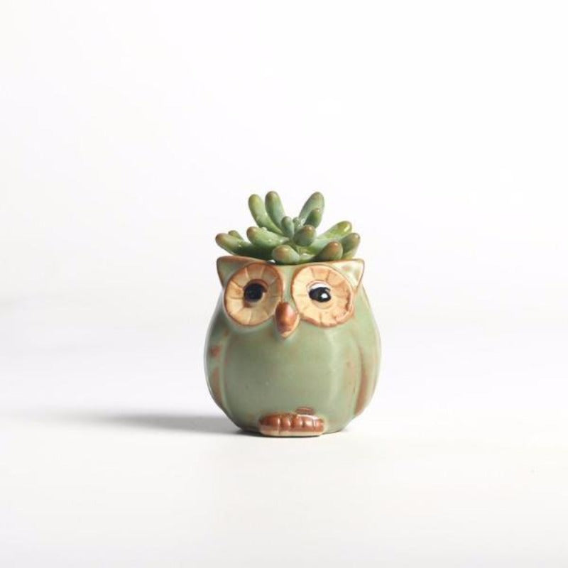 Owl Shaped Ceramic Flower Pot