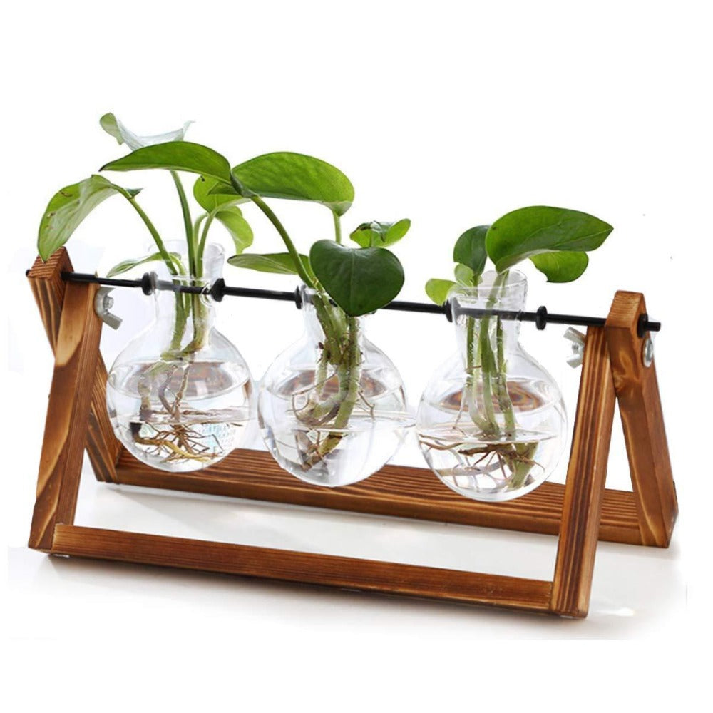 Hydroponics Plant Vase