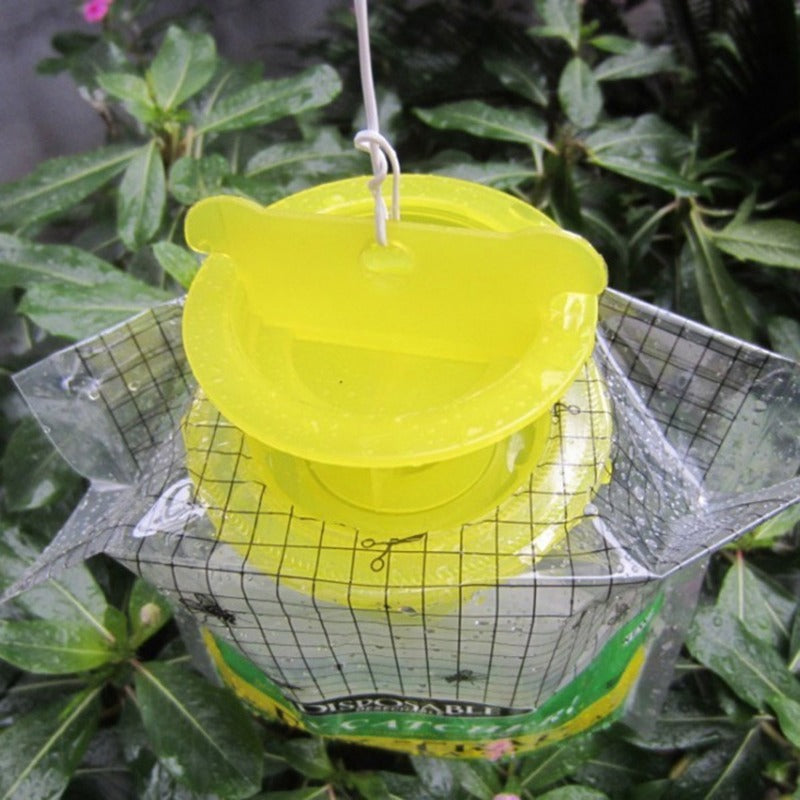 Disposable Fly Trap