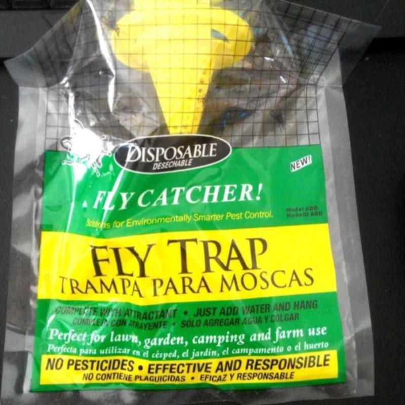 Disposable Fly Trap