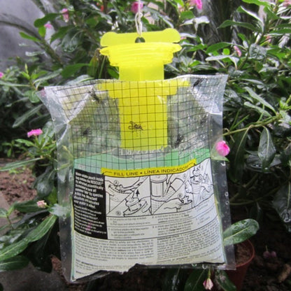 Disposable Fly Trap