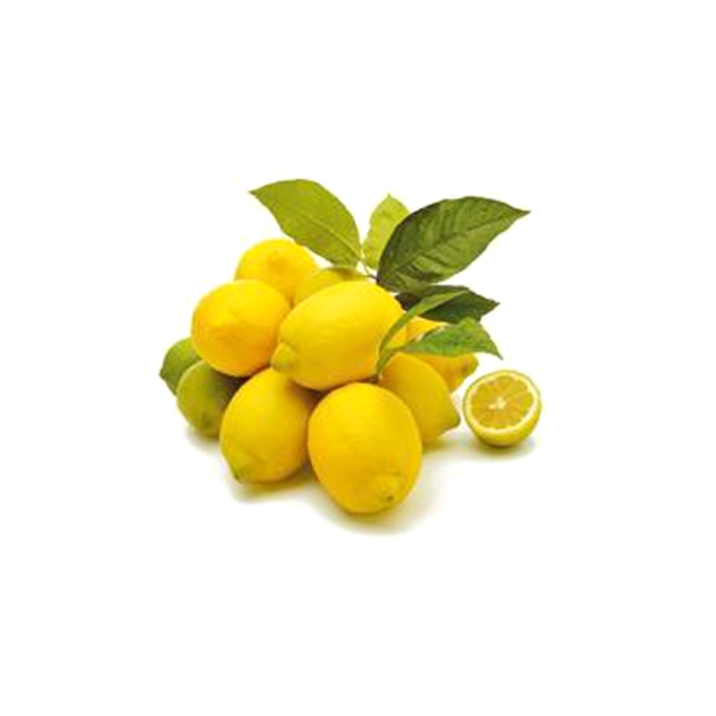 High Yielding Rate Lemon Tree Seeds