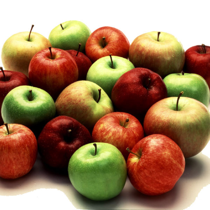 Multi Variety Apple Tree Seeds