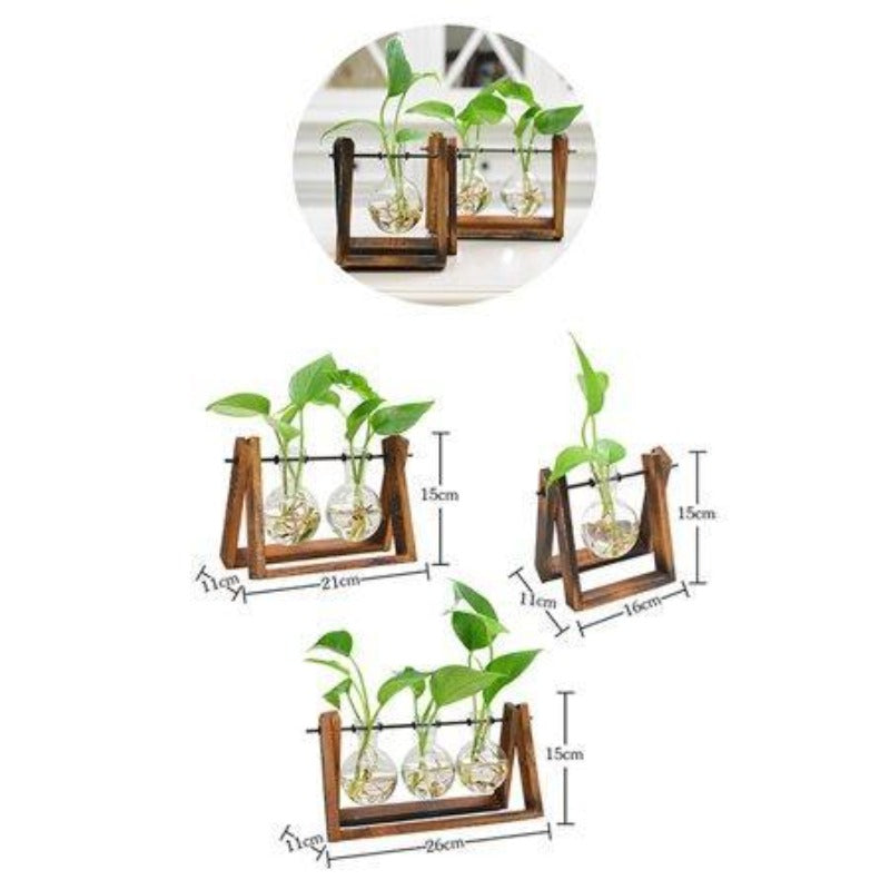 Hydroponics Plant Vase