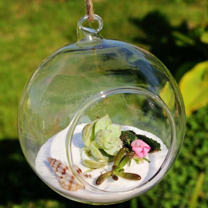 Globe Shape Clear Hanging Glass Flower Vase