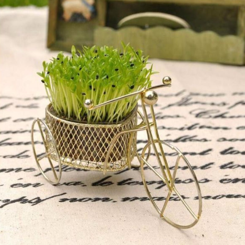 Bicycle Sprout Nursery Pots