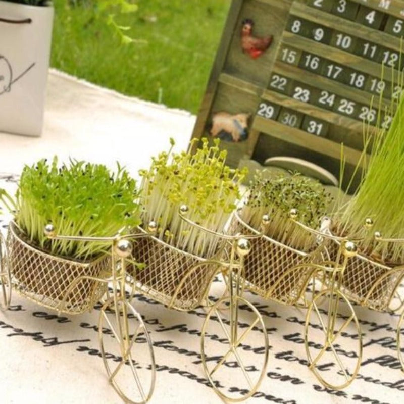 Bicycle Sprout Nursery Pots