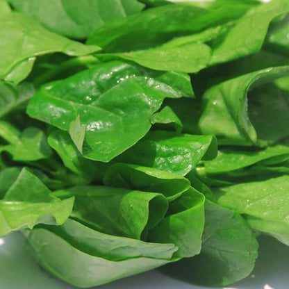 100 Pieces Malabar Spinach Vine Seeds