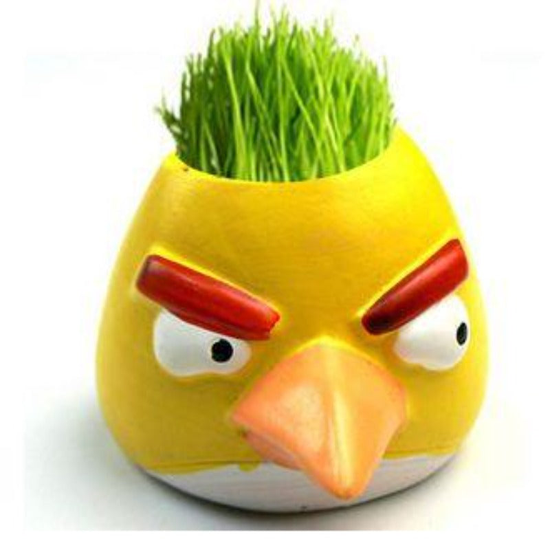 Angry Bird Mini Ceramic Flower Pot For Gardening