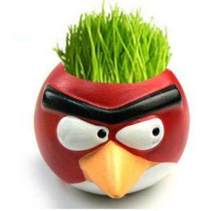 Angry Bird Mini Ceramic Flower Pot For Gardening