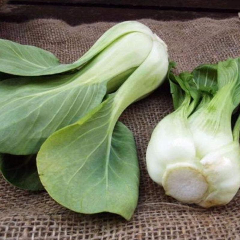 Outdoor Mini Cabbage Plant Seeds