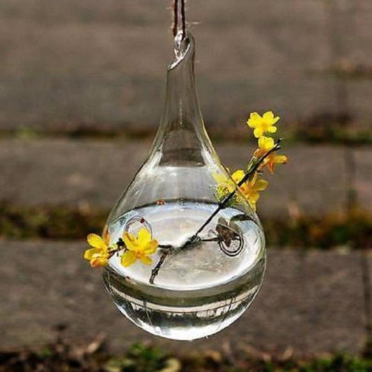 Hanging Glass Hydroponic Flower Planter Vase