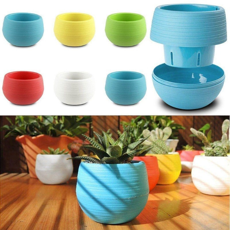 Mini Colorful Plant Pot