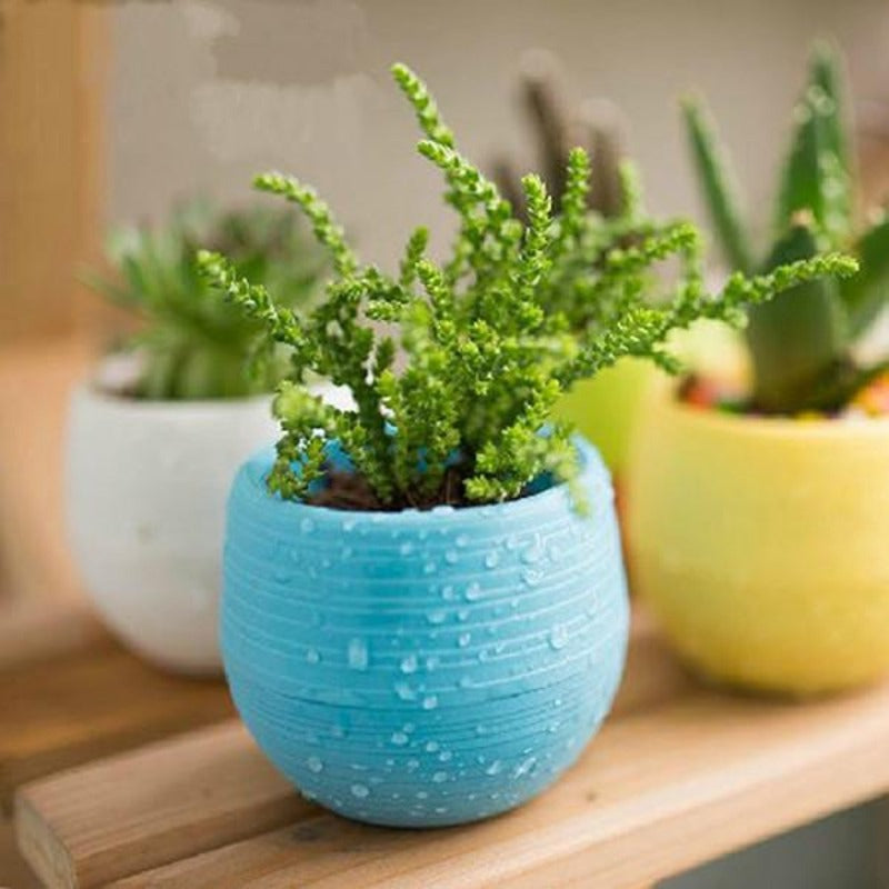 Mini Colorful Plant Pot