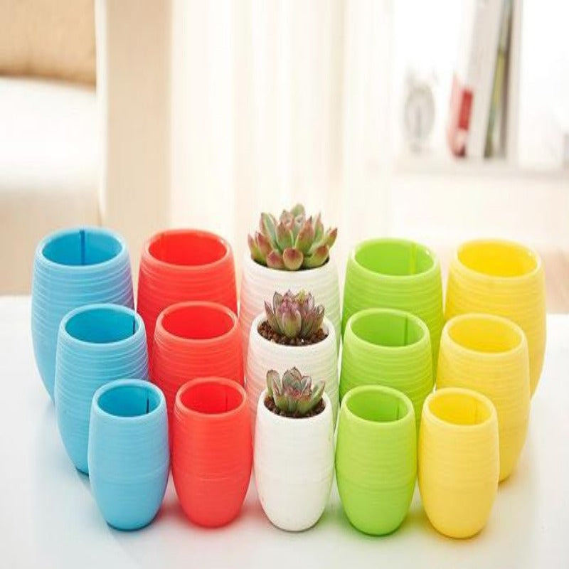 Mini Colorful Plant Pot