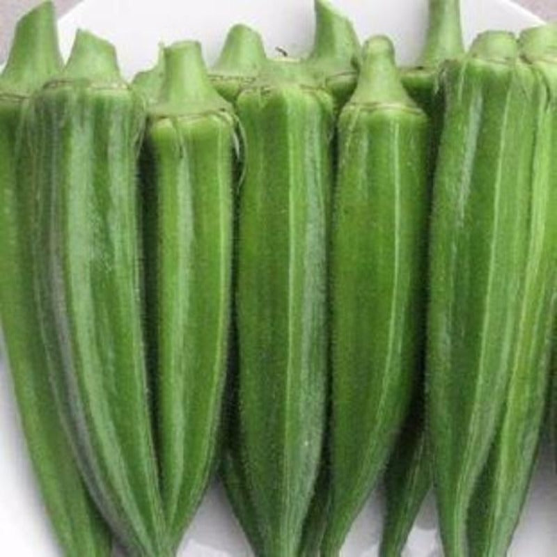 Okra Bonsai Vegetable Seeds