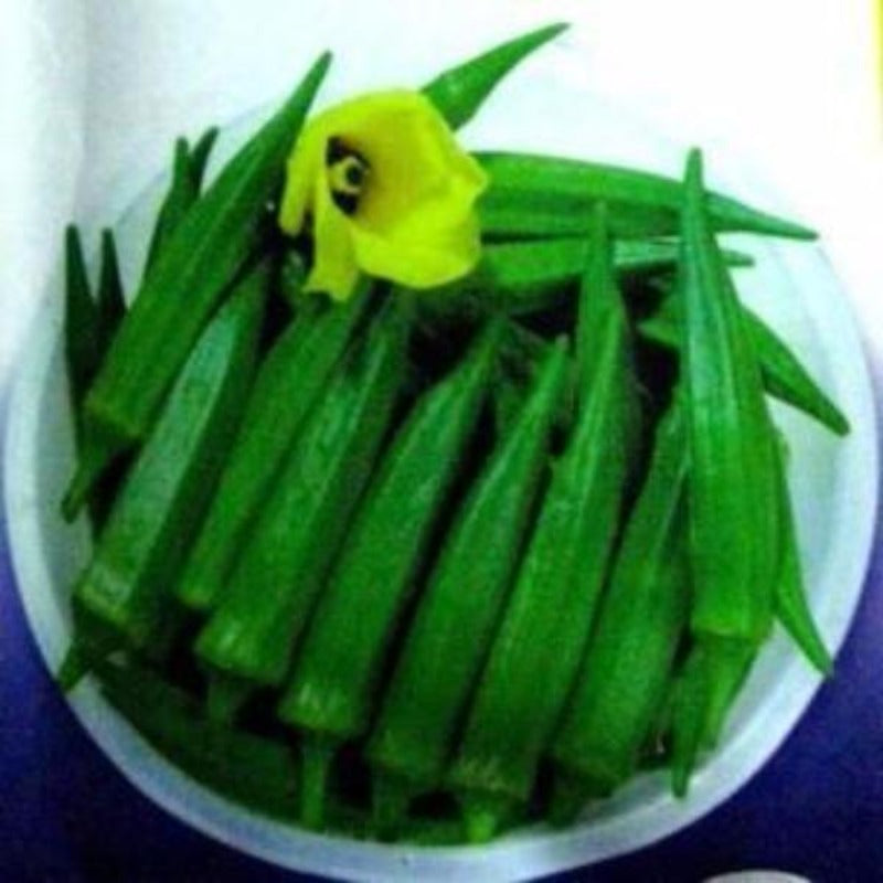 Okra Bonsai Vegetable Seeds