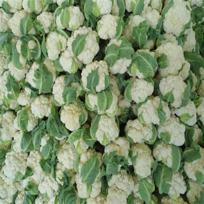 100 Pieces Cauliflower Vegetable Seeds