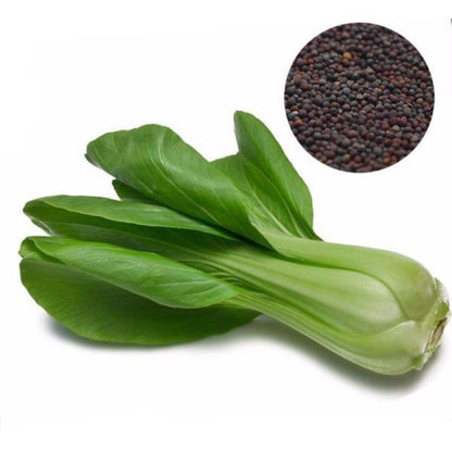 Pak Choi Cabbage Seeds