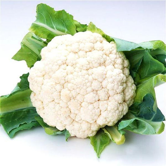 White Snowy Cauliflower Seeds