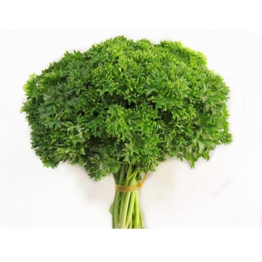 Leaf Parsley Vegetable Seeds